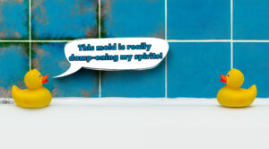 moldy-duck-newsletter